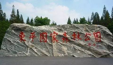 上海奉贤一日游最佳景点一览表,上海宝山区最值得去的五个景点