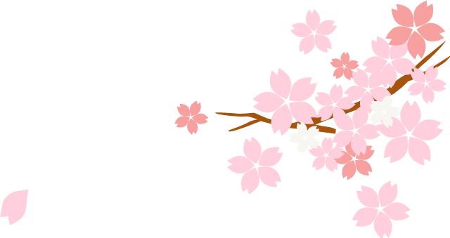 吃哪种阿胶枣好,楼兰蜜语阿胶枣