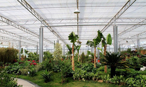 撸起袖子加油干砥砺前行,撸起袖子加油干谱写致富新篇章