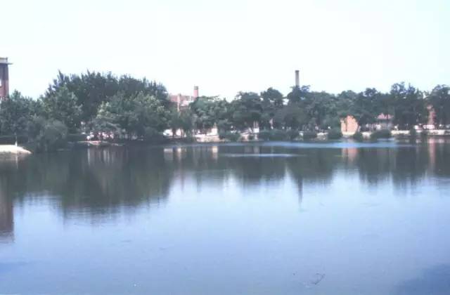 80年代的天津回忆,80年代的老天津