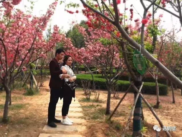 寻找紧急扩散人员名单,紧急寻找紧急扩散