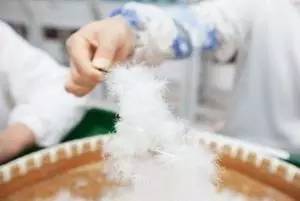 过敏性鼻炎又犯了？常喝这个很管用！