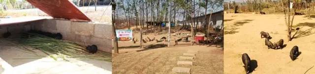 柳州柳江最美的风景区,柳州市柳江区旅游景点排名