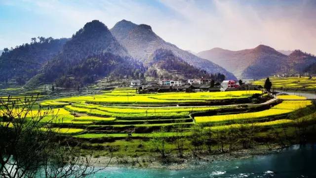 贵州看花好去处推荐,贵州春天哪里的花最美