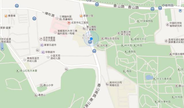 拉开孩子距离的不是智商,拉开孩子智力差距的时间