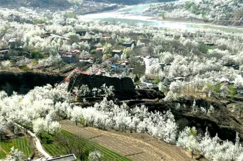 贵州看花好去处推荐,贵州春天哪里的花最美