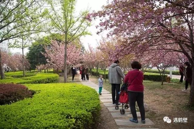 寻找紧急扩散人员名单,紧急寻找紧急扩散