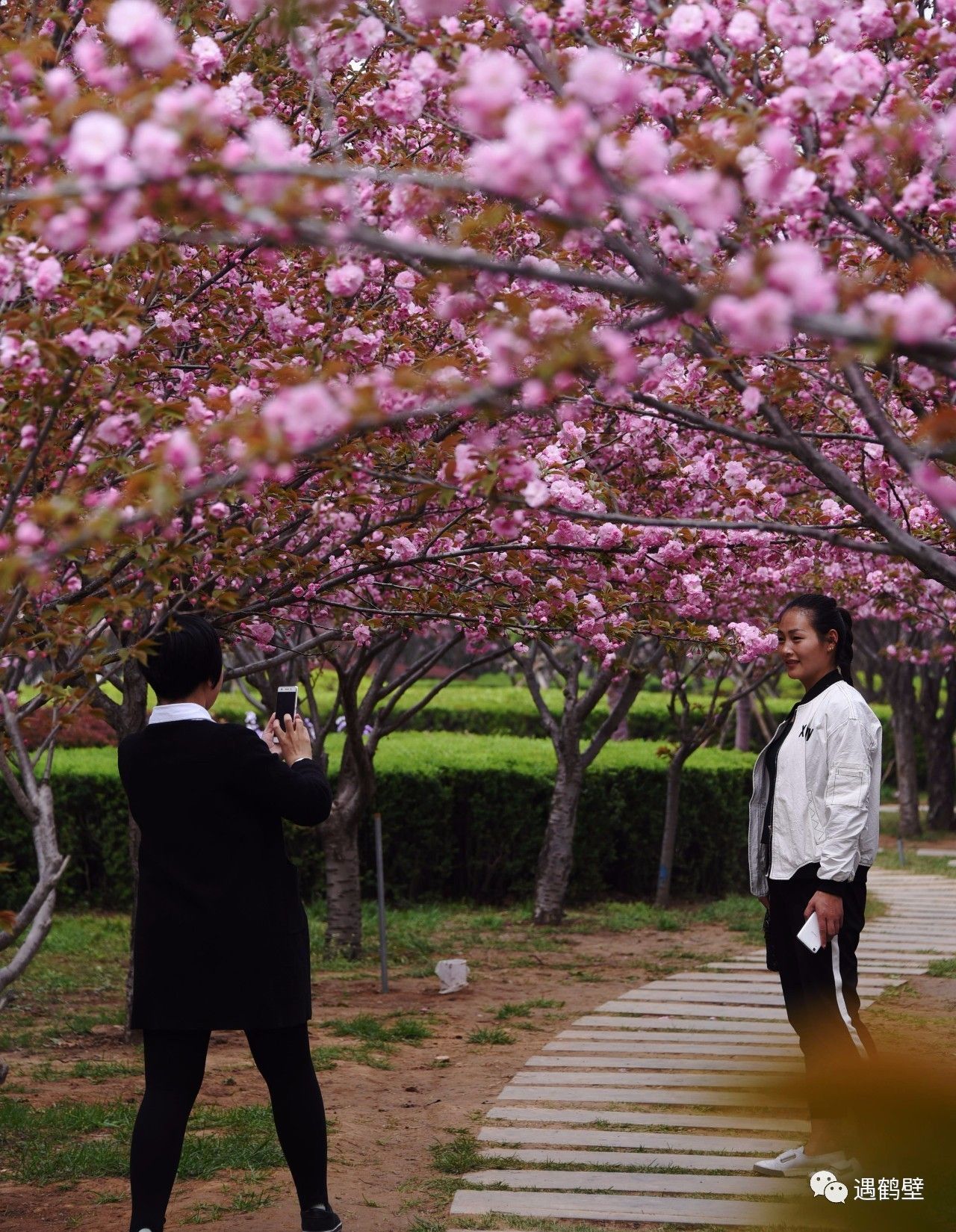 寻找紧急扩散人员名单,紧急寻找紧急扩散