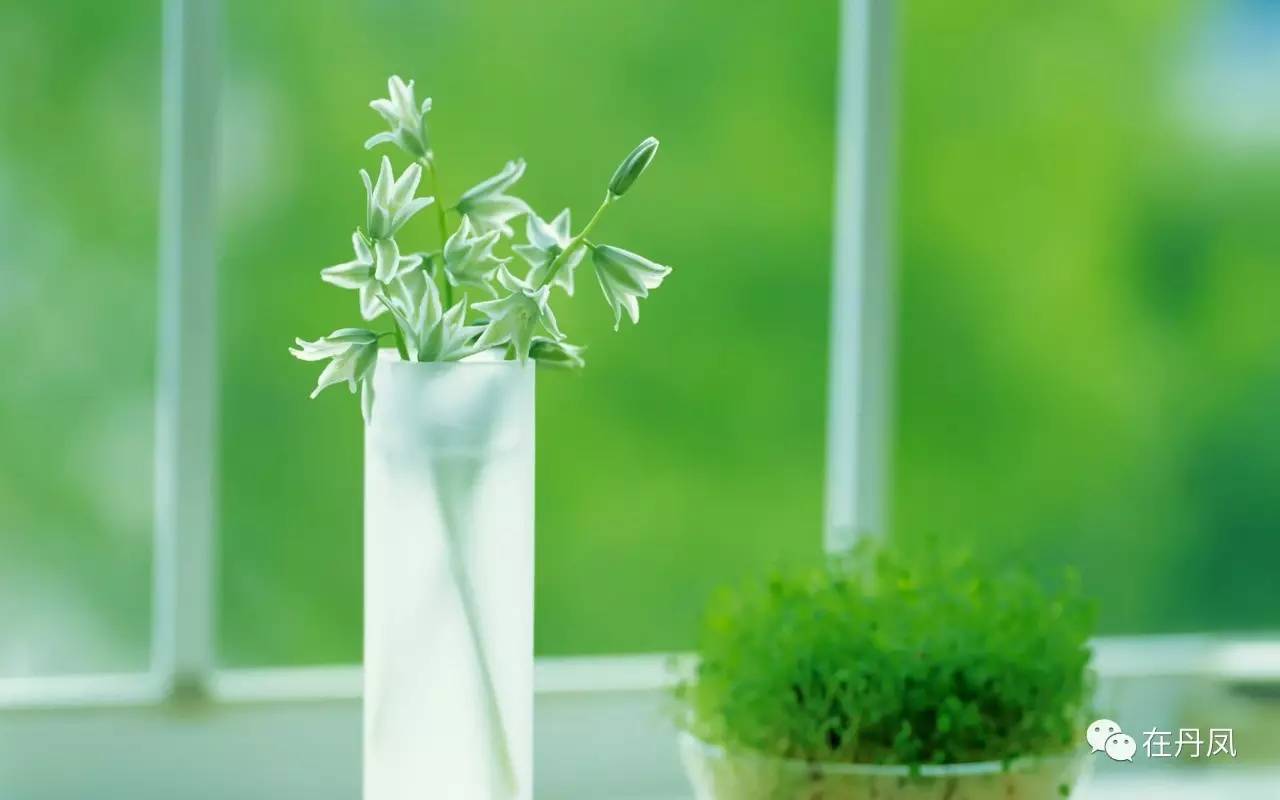 奶奶五七祭奠孙子买啥,奶奶五七祭奠孙女能买吃的东西吗