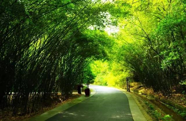 清明3天旅游攻略成都,清明成都旅游攻略学生党