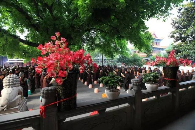 清明3天旅游攻略成都,清明成都旅游攻略学生党