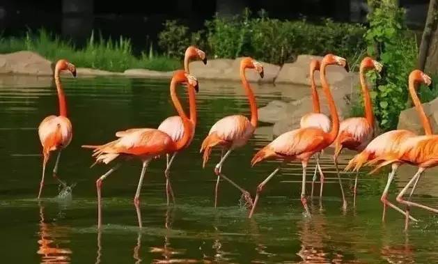 清明3天旅游攻略成都,清明成都旅游攻略学生党