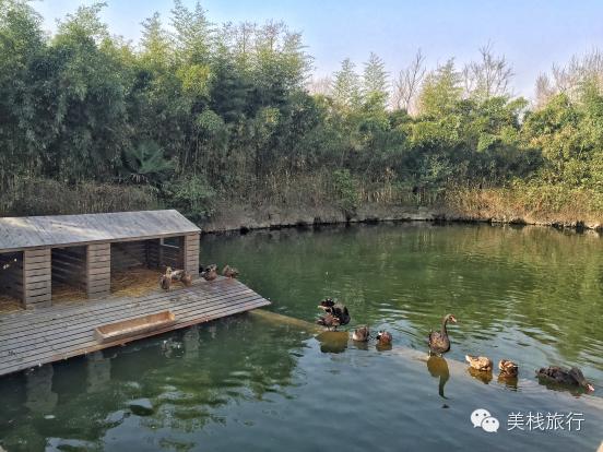 南京索菲特酒店体验,南京索菲特钟山高尔夫酒店预订