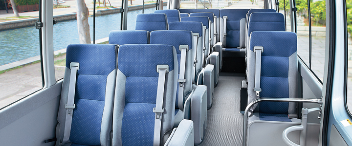 公交线路上亭亭玉立的碧莲