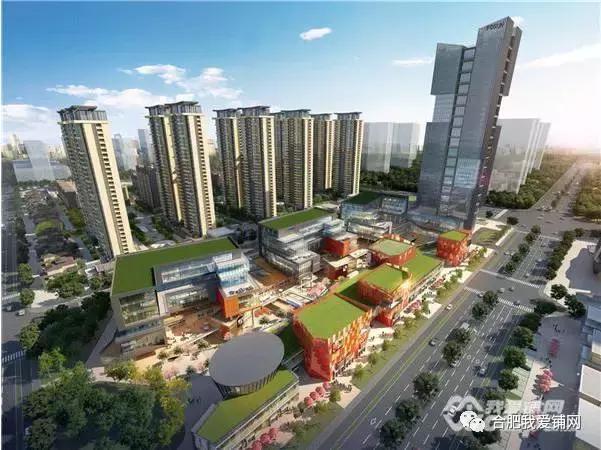 实探合肥,实探合肥滨湖