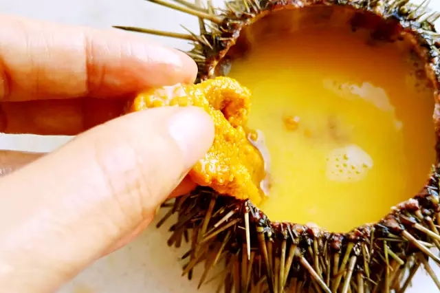 海胆营养丰富，但宝宝不易消化，怎么破？