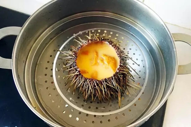 海胆营养丰富，但宝宝不易消化，怎么破？