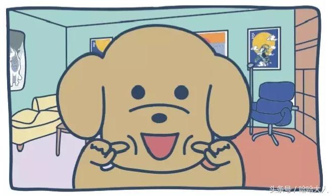 狗狗撕家怎么管教,狗狗撕家视频