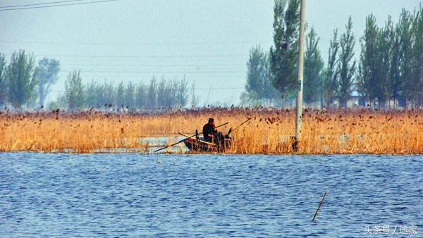带你去看白洋淀的好风景,远离喧嚣白洋淀旅行