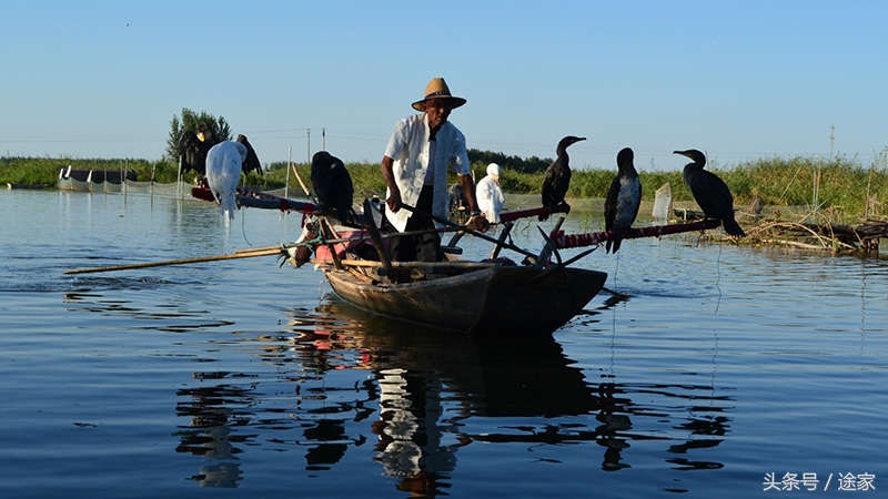 带你去看白洋淀的好风景,远离喧嚣白洋淀旅行