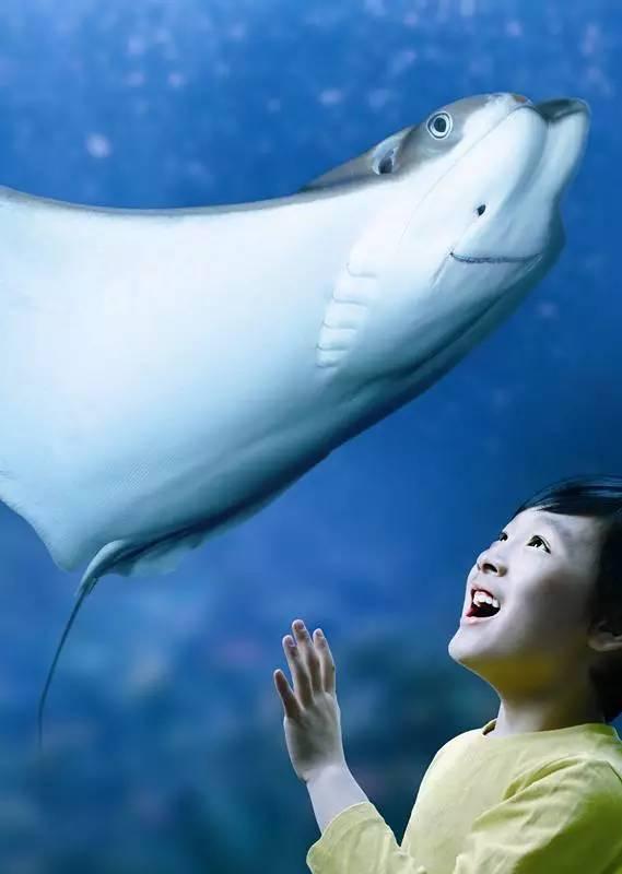 漫步上海魔都秋游的十个好去处,魔都最美的九大公园