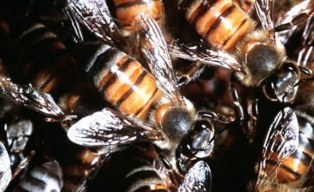 世界最倒霉人集合！第一睡梦中竟被女友掐死！