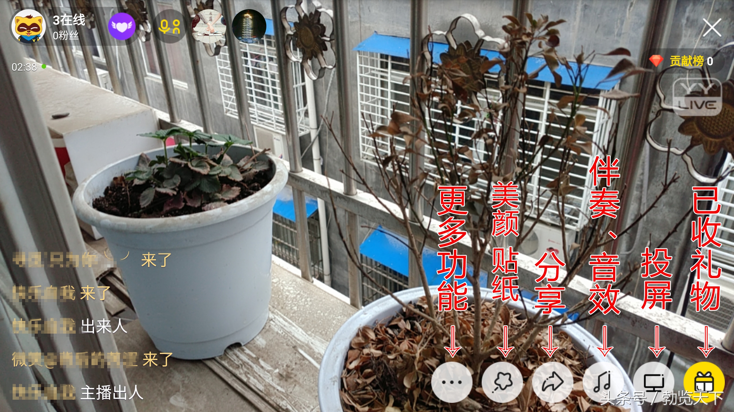 yy直播平台的功能介绍,yy直播最近怎样