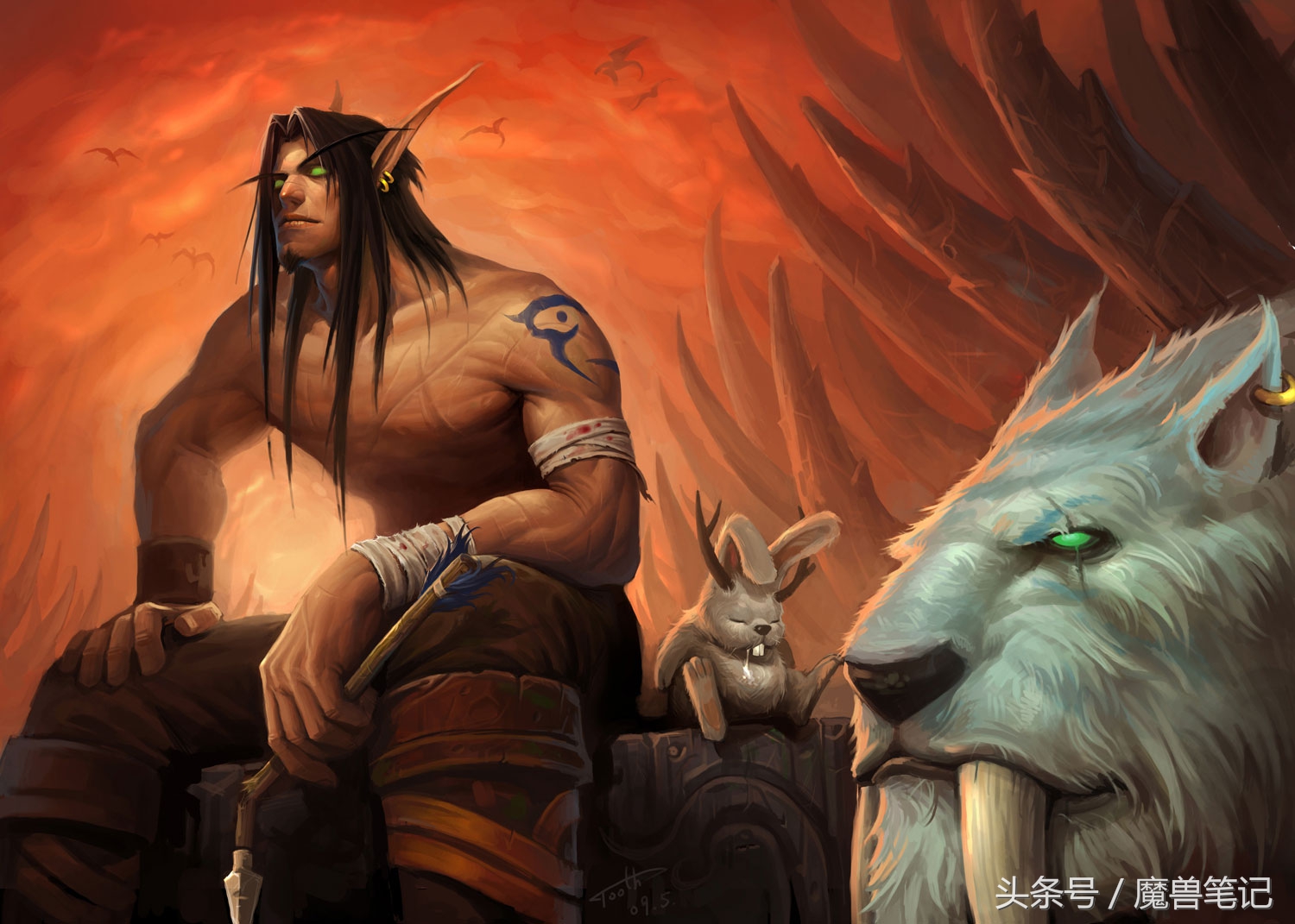 魔兽世界轮回服猎人种族推荐,魔兽世界9.2猎人种族