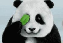 你的黑眼圈怎么去的,4招教你缓解黑眼圈远离熊猫眼