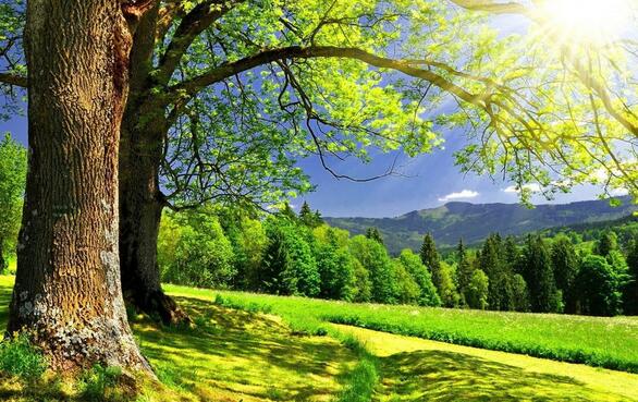 微信达人,微信故事