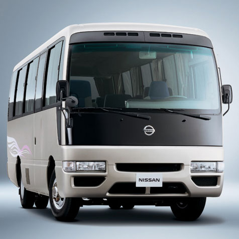 公交线路上亭亭玉立的碧莲