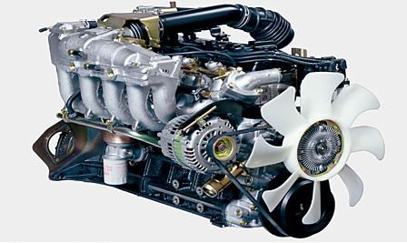 公交线路上亭亭玉立的碧莲