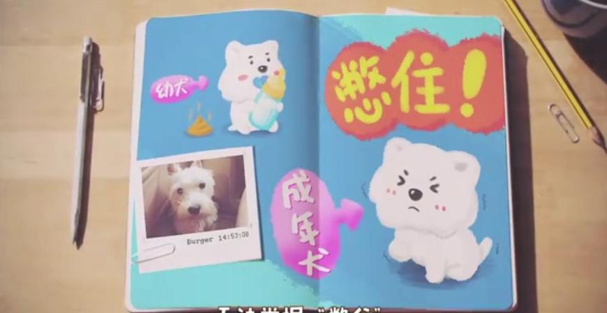 狗狗随地大小便时如何正确的惩罚,铲屎官怎样教狗狗定点上厕所