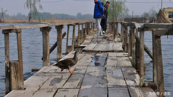 带你去看白洋淀的好风景,远离喧嚣白洋淀旅行