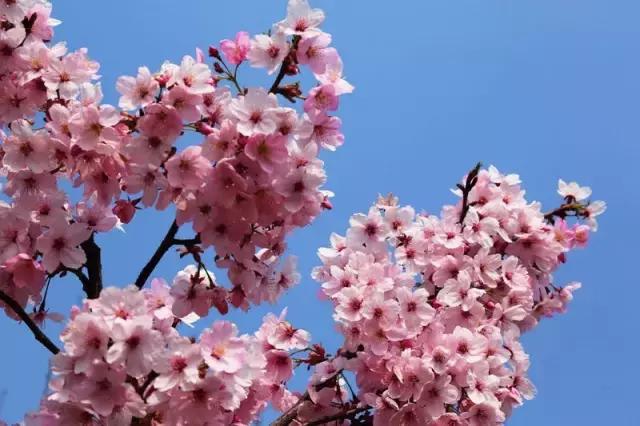 所有昆明人｜你有18个好消息，请关注查收！