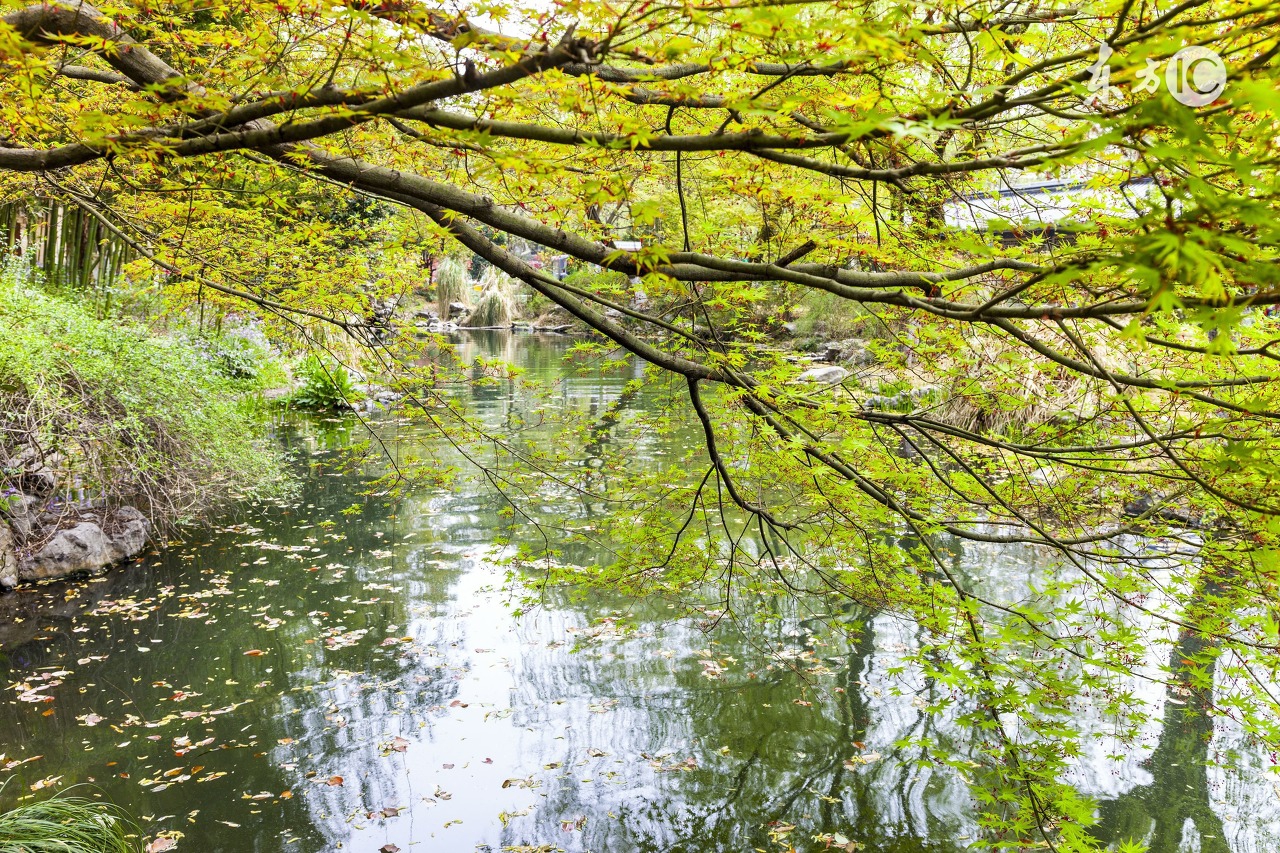 外出旅游手机怎么办,外出手机丢了怎么办