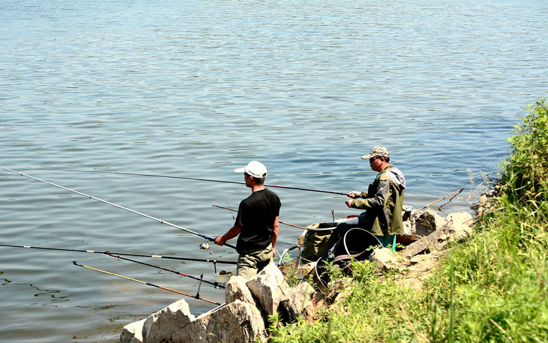 掌握遛鱼技巧，助力好的渔获！