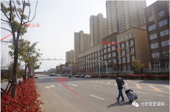 实探合肥,实探合肥滨湖