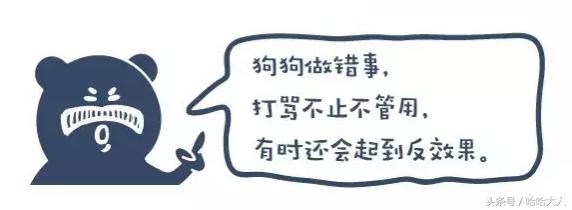 狗狗撕家怎么管教,狗狗撕家视频