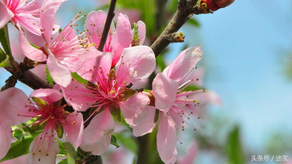 带你去看白洋淀的好风景,远离喧嚣白洋淀旅行