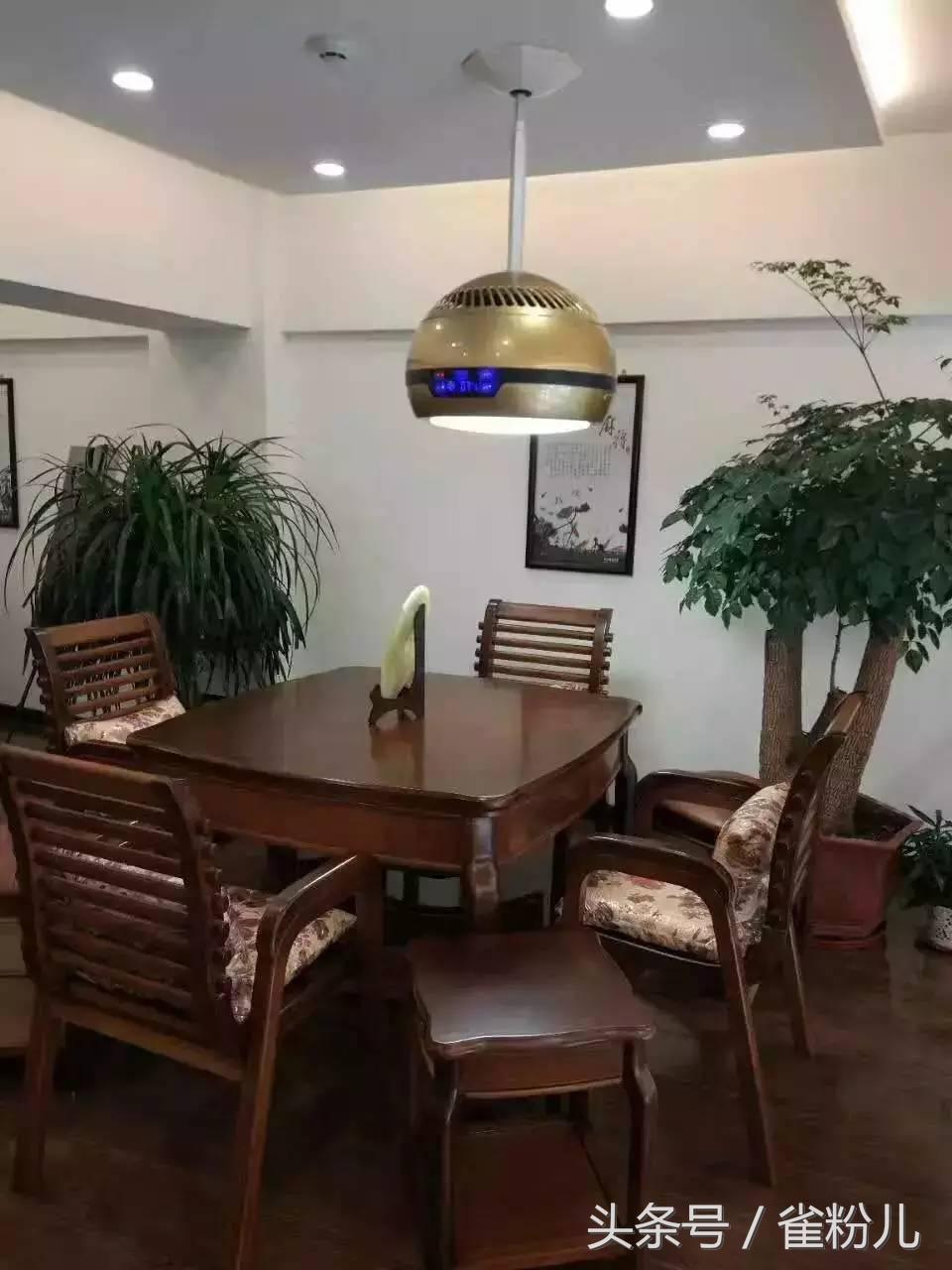 雀友餐桌麻将机全自动官方旗舰店,雀友麻将机专卖店实木