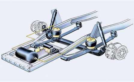 公交线路上亭亭玉立的碧莲