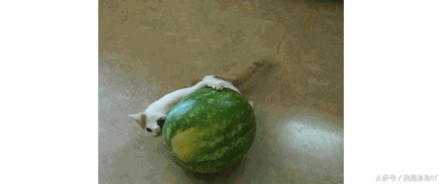 倩碧vc冻干粉测评,点评维c