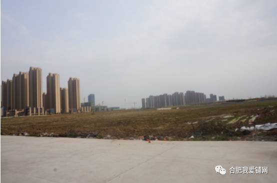 实探合肥,实探合肥滨湖