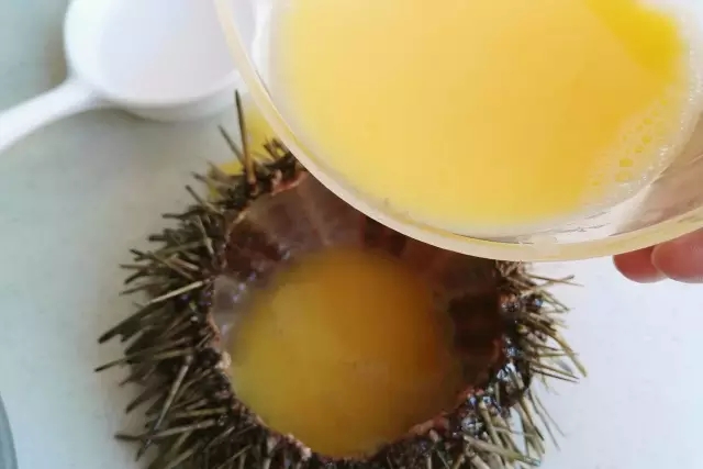 海胆营养丰富，但宝宝不易消化，怎么破？