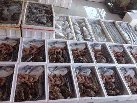 海鲜冻货批发生意好做吗,海鲜批发市场是怎么赚钱的