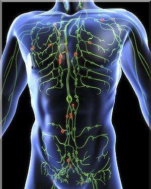 献血晕过去以后还能献吗,献血后头晕无力冒冷汗