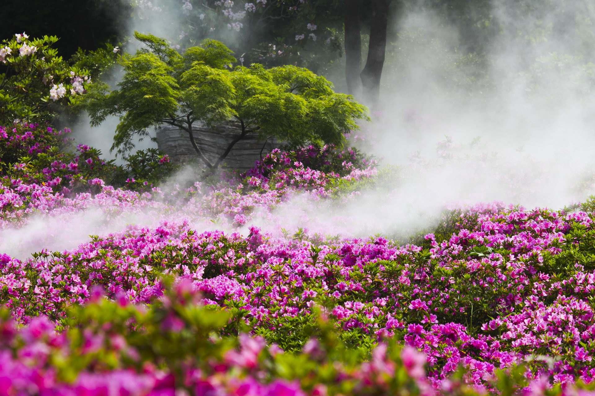 漫步上海魔都秋游的十个好去处,魔都最美的九大公园