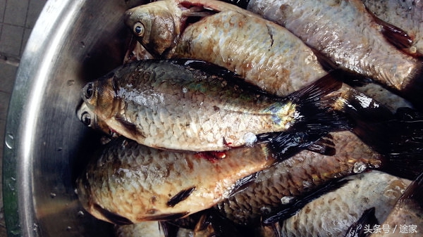 带你去看白洋淀的好风景,远离喧嚣白洋淀旅行