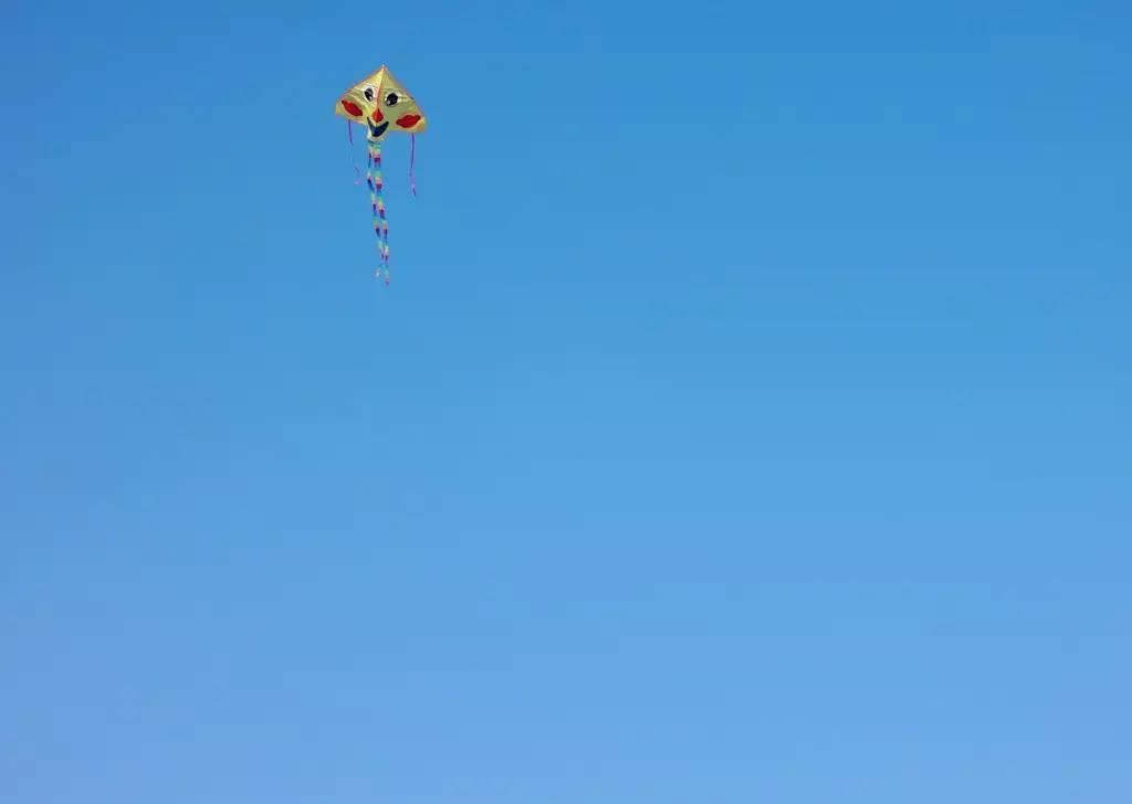 漫步上海魔都秋游的十个好去处,魔都最美的九大公园